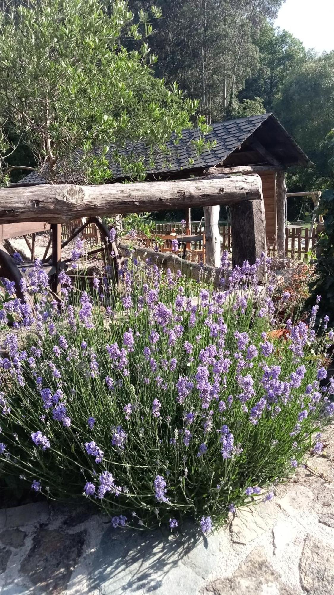 A Casa Das Augas Mondoñedo 외부 사진